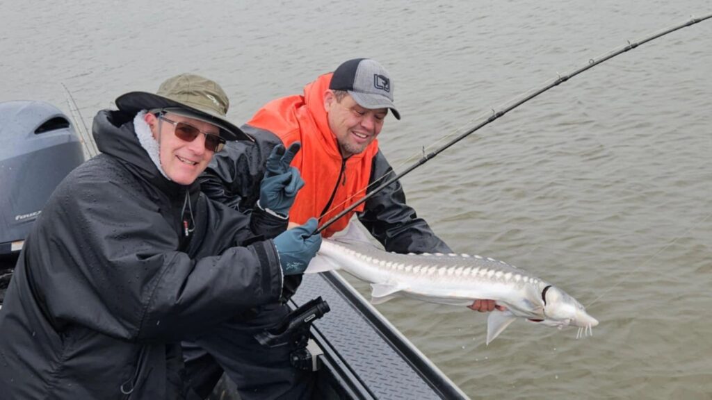 Two anglers in boat holding large white sturgeon with visible barbels over murky water