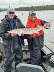 Two anglers in boat holding large white sturgeon with distinctive scutes visible on body