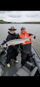 Two anglers in boat holding large white sturgeon on overcast day with river and industrial background
