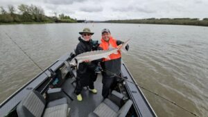 Two anglers in a boat holding a large sturgeon on a river with green shoreline.