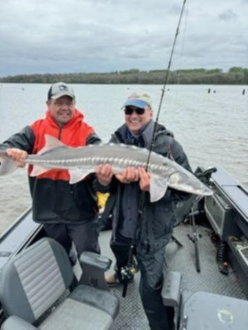 Two anglers in boat holding large white sturgeon with distinctive scutes visible along body