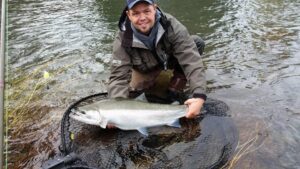 Angler in waders kneeling in shallow water holding large silver coho salmon in landing net