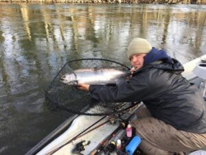 Angler in winter clothing holds coho salmon in landing net while sitting in small boat on calm river.