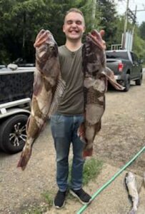 Angler displays two large lingcod in parking area with trucks visible in background